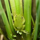 수원-1980 이미지