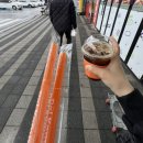 동키공방 | 3월 초봄 일상