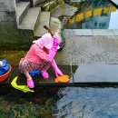 샛도리물 이미지