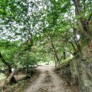 소로보건진료소 이미지