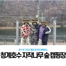 자작나무펜션 캠핑장 | [포천] 청계호수 자작나무숲 캠핑장 - 10번 사이트 후기