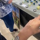 (주)이뮤니티 | 시드니 일상 | 하루 휴무인데 2만보 걸은 날