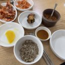 손가네바지락손칼국수 - 성남시 분당구 성남대로 170 | 손가네바지락손칼국수