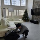 로드 207 이미지