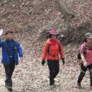 입실3리 Daum카페