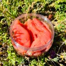 국내산홍어/곱창김/감태김/입맛없을때 생각나는 젓갈들 판매합니다^^ 이미지