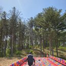 굴레목장 이미지