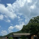 원압산손두부 이미지