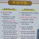 여름날강아지놀이터