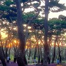 황성공원 이미지