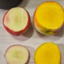 마진농장 이미지