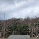 솔밭야영장