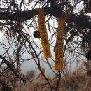 용산-154 이미지