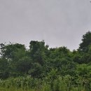 단양군어상천면덕문곡보건진료소 이미지