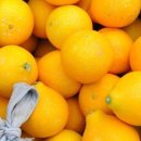 제주하우스 이미지