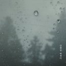 개인(강혜정) 이미지