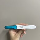 경주시보건소 | 임신 기록 임신 초기 증상 및 경주시 보건소 임산부 선물 리뷰