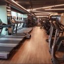 코리아휘트니스 이미지