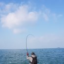 낚GO먹GO 이미지