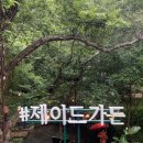 소양강로 L | 여름휴가는 춘천🧡