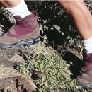 허브 펜션 이미지