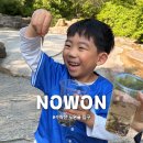 노원골 | 아이와 수락산 노원골 탐험! 곤충 애벌레부터 올챙이 잡기, 그리고 집에서 키우기까지