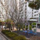 유림-1141 이미지