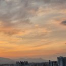 더블루치킨 이미지