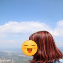 에스티137헤어 네이버블로그