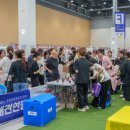 알로하 페키니즈 이미지