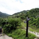 소백산자락길 이미지