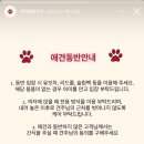 942 | [수원카페/화서동] 애견동반 가능한 수원 화서동카페 "레이지앤코" 솔직후기