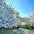 삼성2리 경로당 이미지