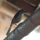 사파평생교육센터 이미지