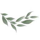 비올라의원