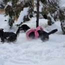 박순호의 아이슬란드 이미지