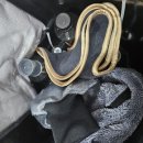 동백유워시 셀프세차장 이미지