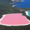 미들아일랜드(middle island) 이미지