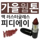 4854 | 맥러스터글래스립스틱 PDA 피디에이 발색 솔직리뷰 내돈내산 후기