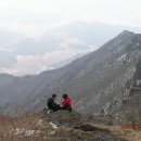 천년의사랑 이미지