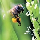 이종범농장 이미지