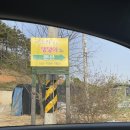 소라잡는댕댕이 | 안면도 애견동반펜션: 소라잡는 댕댕이 (2층 다솔방 숙박후기)