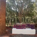 농업기술센터 본관1층 화장실 이미지