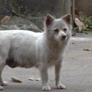 복덩이복권 이미지