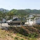 소나무민박 이미지