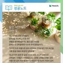 서울교대 사거리 이미지