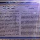 의령 중동리 고분군 이미지