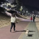 솔비막창