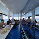 옐로우 펀 | 퇴사하고 나혼자 푸켓 스쿠버다이빙 후기 #Log 31~36 (한인샵 버블버블다이브 내돈내산)