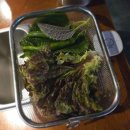 세븐일레븐 마산회원중앙점 | 마산 합성동 고기집 꽃돼지식당 구워주는 꽃돼지모듬구이